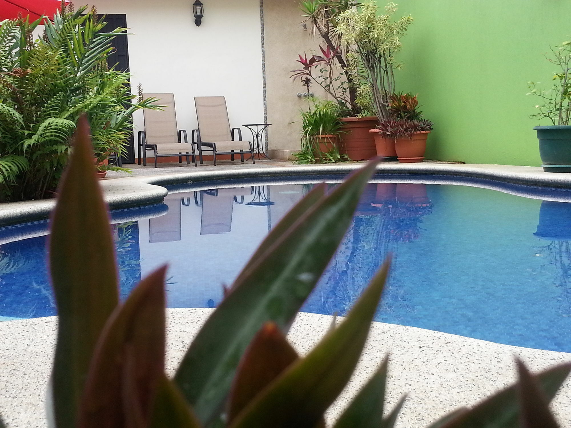 Hotel La Guaria Inn & Suites Alajuela Exterior photo